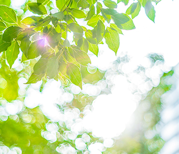 専門医療機関との連携